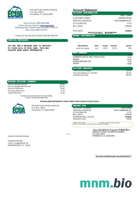 Szablon rachunku za media Biznesowe w USA ECUA w formatach Word i PDF